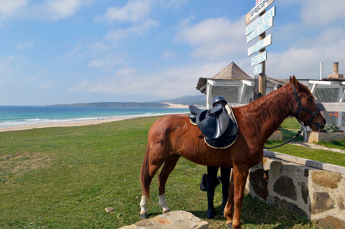 Horse baackriding